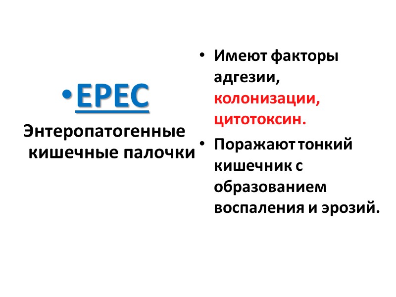 EPEC Энтеропатогенные кишечные палочки  Имеют факторы адгезии, колонизации, цитотоксин. Поражают тонкий кишечник с